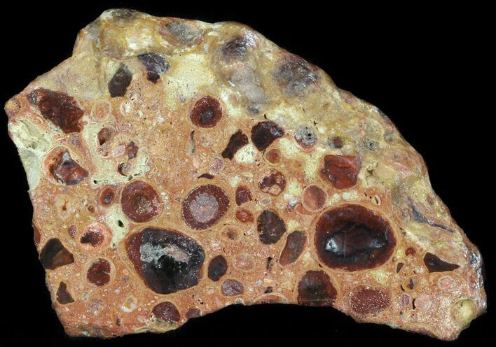 Polished Bauxite (Aluminum Ore) Slab - Australia #46624